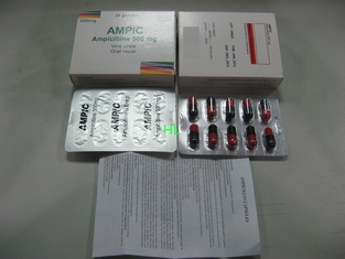 Porcellana L'ampicillina incapsula 250MG 500MG BP/le medicine penicilline di USP fornitore