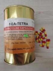 Porcellana L'HCl della tetraciclina incapsula 250MG 500MG BP/le medicine antibiotici di USP fornitore